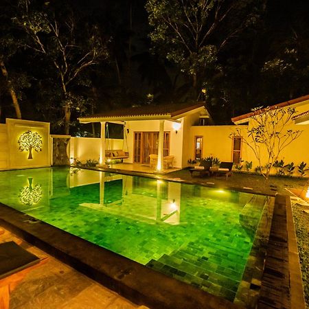 Tree Of Life Resort Bentota Eksteriør bilde