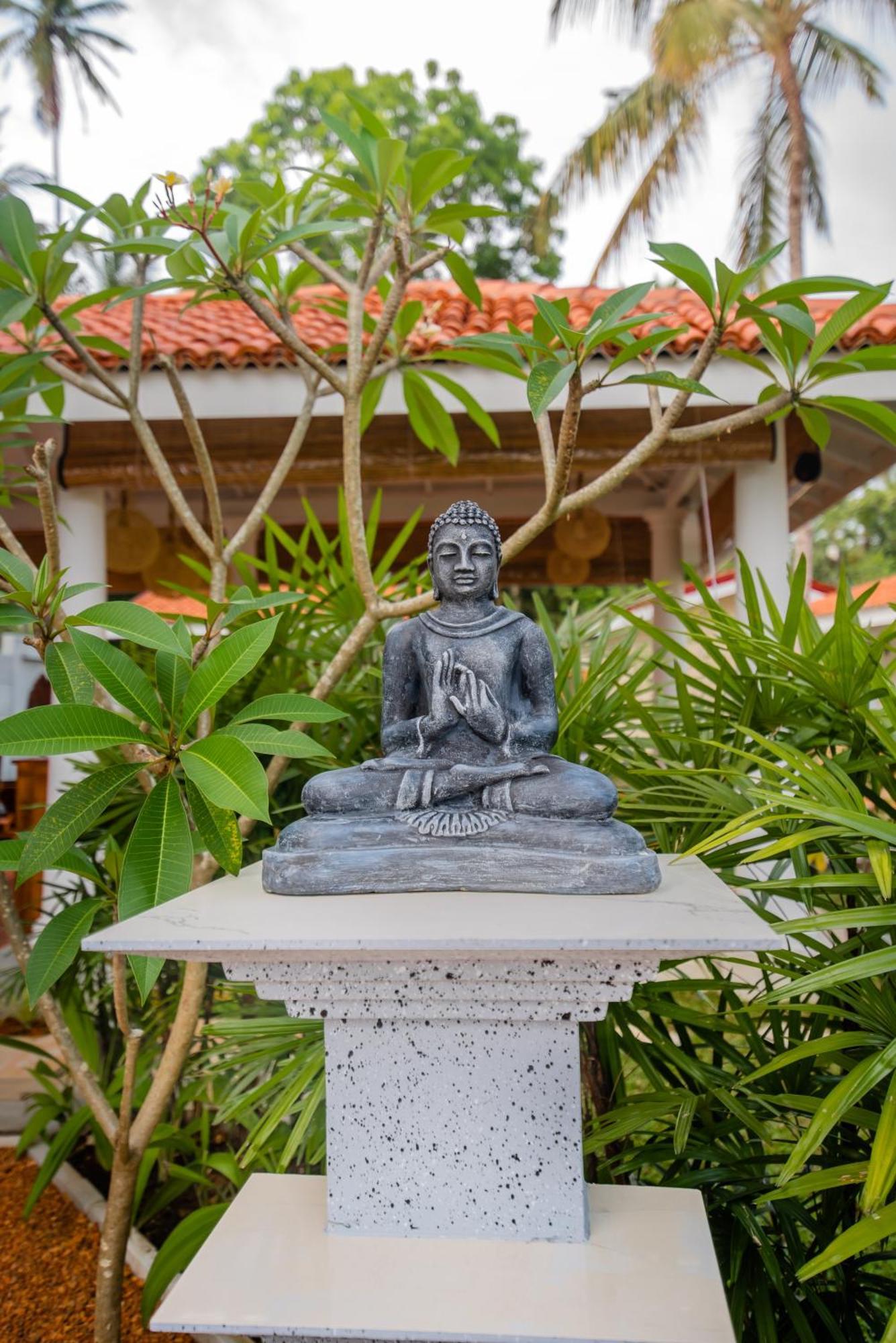 Tree Of Life Resort Bentota Eksteriør bilde